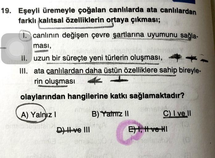 19. Eşeyli üremeyle çoğalan canlılarda ata canlılardan
farklı kalıtsal özelliklerin ortaya çıkması;
1. canlının değişen çevre şartlarına uyumunu sağla-
masi,
II. uzun bir süreçte yeni türlerin oluşması,
III. ata canlılardan daha üstün özelliklere sahip bir