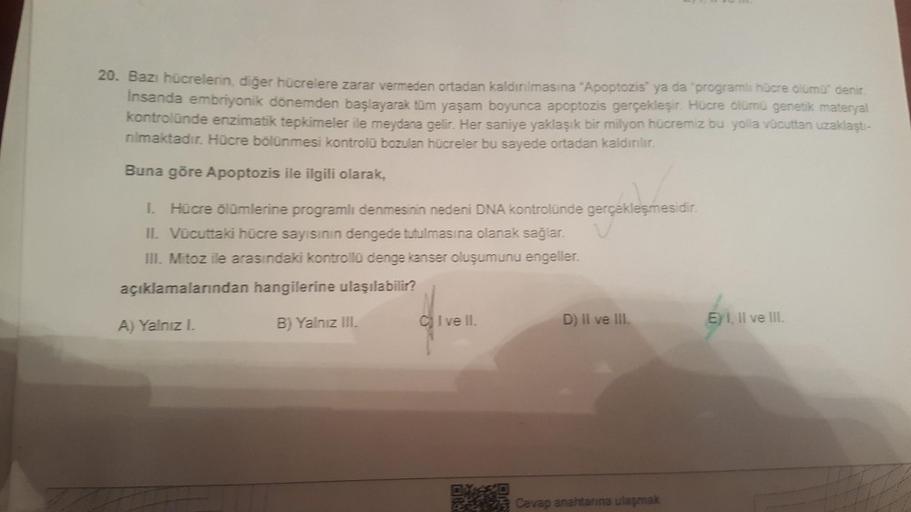 20. Bazı hücrelerin, diğer hücrelere zarar vermeden ortadan kaldırılmasına "Apoptozis" ya da "programlı hücre olumu denir.
Insanda embriyonik dönemden başlayarak tüm yaşam boyunca apoptozis gerçekleşir. Hücre ölümü genetik materyal
kontrolünde enzimatik te