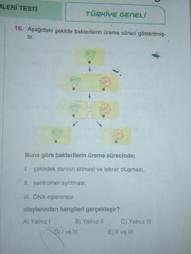 MLERİ TESTİ
TÜRKİYE GENELÍ
16. Aşağıdaki şekilde bakterilerin üreme süreci gösterilmiş-
tir.
2
Buna göre bakterilerin üreme sürecinde;
1. çekirdek zarının erimesi ve tekrar oluşması,
II. sentromer ayrılması,
III. DNA eşlenmesi
olaylarından hangileri gerçek