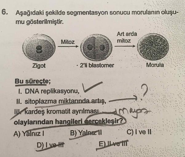 6. Aşağıdaki şekilde segmentasyon sonucu morulanin oluşu-
mu gösterilmiştir.
Art arda
mitoz
Mitoz
Zigot
2'li blastomer
Morula
Bu süreçte;
1. DNA replikasyonu,
II. sitoplazma miktarında artış,
I kardeş kromatit ayrılması
olaylarından hangileri gercekleşir?