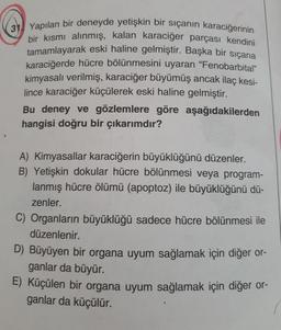 31. Yapılan bir deneyde yetişkin bir sıçanın karaciğerinin
bir kısmı alınmış, kalan karaciğer parçası kendini
tamamlayarak eski haline gelmiştir. Başka bir sıçana
karaciğerde hücre bölünmesini uyaran "Fenobarbital"
kimyasalı verilmiş, karaciğer büyümüş ancak ilaç kesi-
lince karaciğer küçülerek eski haline gelmiştir.
Bu deney ve gözlemlere göre aşağıdakilerden
hangisi doğru bir çıkarımdır?
A) Kimyasallar karaciğerin büyüklüğünü düzenler.
B) Yetişkin dokular hücre bölünmesi veya program-
lanmış hücre ölümü (apoptoz) ile büyüklüğünü dü-
zenler.
C) Organların büyüklüğü sadece hücre bölünmesi ile
düzenlenir.
D) Büyüyen bir organa uyum sağlamak için diğer or-
ganlar da büyür.
E) Küçülen bir organa uyum sağlamak için diğer or-
ganlar da küçülür.