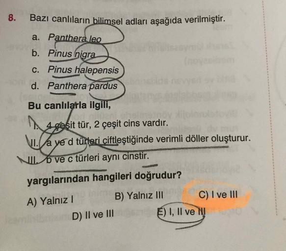 Bazı canlıların bilimsel adları aşağıda verilmiştir.
a. Panthera leo
b. Pinus nigra
c. Pinus halepensis
d. Panthera pardus
Bu canlılarla ilgili,
I. çeşit tür, 2 çeşit cins vardır.
II a ve d türleri çiftleştiğinde verimli döller oluşturur.
III. b ve c