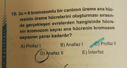 19. 2n = 8 kromozomlu bir canlının üreme ana hüc-
resinin üreme hücrelerini oluşturması sırasın-
da gerçekleşen evrelerden hangisinde hücre-
nin kromozom sayısı ana hücrenin kromozom
sayısının yarısı kadardır?
it Ya yinlari
A) Profaz!
B) Anafaz! C) Profazl
D) Anafaz || E) Interfaz