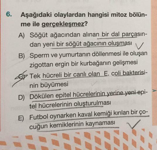 6.
Aşağıdaki olaylardan hangisi mitoz bölün-
me ile gerçekleşmez?
A) Söğüt ağacından alınan bir dal parçasın-
dan yeni bir söğüt ağacının oluşması
B) Sperm ve yumurtanın döllenmesi ile oluşan
zigottan ergin bir kurbağanın gelişmesi
Tek hücreli bir canlı ol