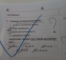 A
A
Fen Bilimleri
19
17. Prokaryot ve ökaryot hücrelerde;
1. sindirim enzimlerinin sentezi,
H DNA replikasyonu,
III.) laktik asit fermantasyonu,
IV. polisakkarit hidrolizi
olaylarından hangileri aynı yapıda gerçekleşe-
bilir?
A) Yalnız
B) I ve III
Cyll ve III
2) II, III ve IV
D 1, I ve III