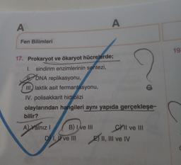 A
A
Fen Bilimleri
19
17. Prokaryot ve ökaryot hücrelerde;
1. sindirim enzimlerinin sentezi,
H DNA replikasyonu,
III.) laktik asit fermantasyonu,
IV. polisakkarit hidrolizi
olaylarından hangileri aynı yapıda gerçekleşe-
bilir?
A) Yalnız
B) I ve III
Cyll ve III
2) II, III ve IV
D 1, I ve III
