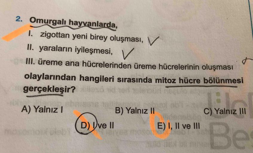 Omurgalı hayvanlarda,
I. zigottan yeni birey oluşması,
II. yaraların iyileşmesi,
III. üreme ana hücrelerinden üreme hücrelerinin oluşması
olaylarından hangileri sırasında mitoz hücre bölünmesi
gerçekleşir?
A) Yalnız I
B) Yalnız II
C) Yalnız III
D) I