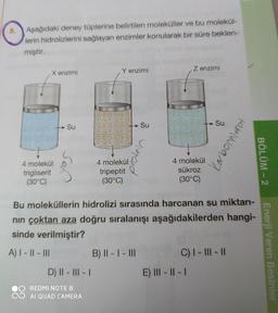 5.
o
Aşağıdaki deney tüplerine belirtilen moleküller ve bu molekül-
lerin hidrolizlerini sağlayan enzimler konularak bir süre beklen-
miştir.
X enzimi
Y enzimi
Z enzimi
Su
Su
Su
2000
Karbonhidrat
232
g
4 molekül
trigliserit
(30°C)
4 molekül
tripeptit
(30°C)
4 molekül
sükroz
(30°C)
BÖLÜM - 2
N
Bu moleküllerin hidrolizi sırasında harcanan su miktarı-
nin çoktan aza doğru sıralanışı aşağıdakilerden hangi-
sinde verilmiştir?
A) I - || - III
B) || - | - III
C) I - III - 11
Enerji Veren Besinler
D) || - III - 1
E) III - 11 - 1
REDMI NOTE 8
AI QUAD CAMERA