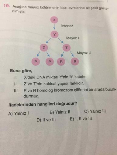 19. Aşağıda mayoz bölünmenin bazı evrelerine ait şekil göste-
rilmiştir.
X
Interfaz
Y
Mayoz!
N
T
Mayoz II
P
P
R
R
Buna göre,
X'deki DNA miktarı Y'nin iki katıdır.
1
.
II.
III.
Z ve T'nin kalıtsal yapısı farklıdır.
Pve R homolog kromozom çiftlerini bir arad