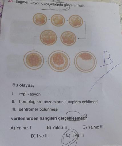 Segmentasyon olayı aşağıda gösterilmiştir.
O B
Bu olayda;
1. replikasyon
II. homolog kromozomların kutuplara çekilmesi
III. sentromer bölünmesi
verilenlerden hangileri gerçekleşmez?
A) Yalnız!
B) Yalnız II
C) Yalnız III
D) I ve III
E) II ve III