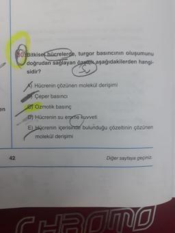 30. Bitkisel hücrelerde, turgor basıncının oluşumunu
doğrudan sağlayan özeltik aşağıdakilerden hangi-
sidir?
A) Hücrenin çözünen molekül derişimi
Çeper basıncı
en
es Ozmotik basınç
D) Hücrenin su emme kuvveti
E) Hücrenin içerisinde bulunduğu çözeltinin çözünen
molekül derişimi
42
Diğer sayfaya geçiniz.
CHA NO
