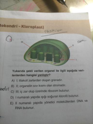 tokondri - Kloroplast)
ploslitler
3
Yukarıda şekli verilen organel ile ilgili aşağıda veri-
lenlerden hangisi yanlıştır?
A) I; tilakoit zarlardan oluşan granadır.
B) II; organelin sivi kısmi olan stromadır.
sandri
C) III; iç zar olup üzerinde ribozom bulun