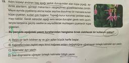 19. Adını küpeyi andıran baş aşağı sarkık duruşundan alan küpe çiçeği, ay-
dinlik alanların, güneşli mekanların vazgeçilmez güzelliklerinden biridir.
Mayıs ayında çiçeklenip ekime kadar seyrine doyulmaz bir manzara sunan
küpe çiçekleri, sudan çok hoşlanır. Toprağı kurur kurumaz yeniden sulan-
mayı bekler. Gerek saksıdan aşağı sere serpe duruşları gerek renk uyum-
larıyla karşısına geçilip saatlerce seyredilecek muhteşem çiçeklerdir küpe
çiçekleri.
Bu parçada aşağıdaki yazım kurallarından hangisine örnek olabilecek bir kullanım yoktur?
A) Belirli bir tarih bildiren ay ve gün adları büyük harfle başlar.
B) Kelimelerinden hiçbiri veya ikinci kelimesi anlam değişikliğine uğramayan birleşik kelimeler ayrı yazılır.
C) İkilemeler ayrı yazılır.
D) Ses düşmesine uğrayan birleşik kelimeler bitişik yazılır.