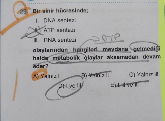 Bir sinir hücresinde;
I. DNA sentezi
II. ATP sentezi
III. RNA sentezi
olaylarından hangileri meydana gelmediği halde metabolik olaylar aksamadan devam eder?
A) Yalnız I
B) Yalnız || 
C) Yalnız III
D) I ve III
E) 1, II ve III