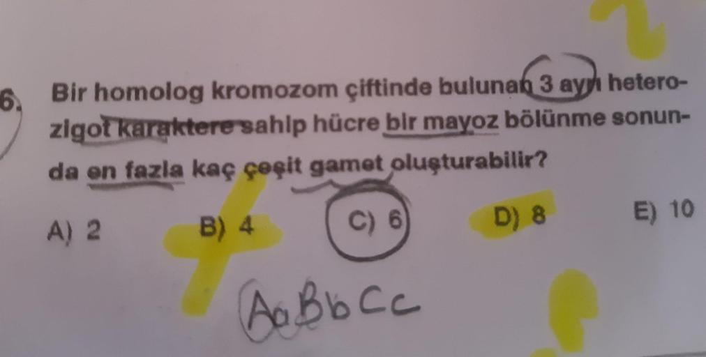 6. Bir homolog kromozom çiftinde bulunan 3 ayy hetero-
zigot karaktere sahip hücre bir mayoz bölünme sonun-
da en fazla kaç çeşit gamet oluşturabilir?
A) 2
B) 4
E) 10
C) 6
D) 8
A B b Cc