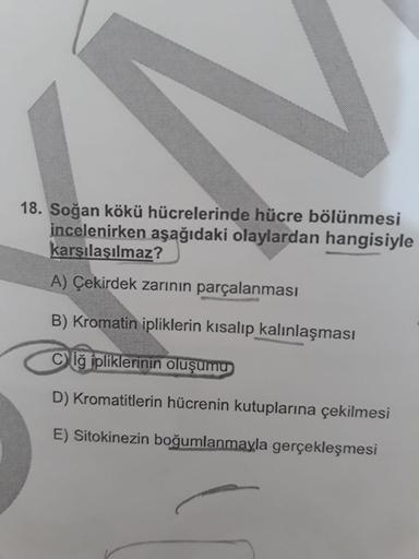 18. Soğan kökü hücrelerinde hücre bölünmesi
incelenirken aşağıdaki olaylardan hangisiyle
karşılaşılmaz?
A) Çekirdek zarının parçalanması
B) Kromatin ipliklerin kısalıp kalınlaşması
Ciğ ipliklerinin oluşumu
D) Kromatitlerin hücrenin kutuplarına çekilmesi
E)