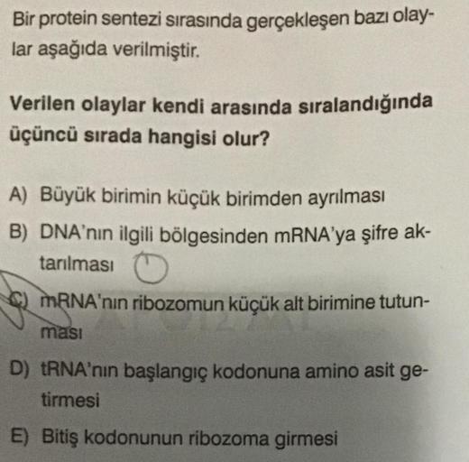 Bir protein sentezi sırasında gerçekleşen bazı olaylar aşağıda verilmiştir.
Verilen olaylar kendi arasında sıralandığında
üçüncü sırada hangisi olur?
A) Büyük birimin küçük birimden ayrılması
B) DNA'nın ilgili bölgesinden mRNA’ya şifre aktarılması
C)