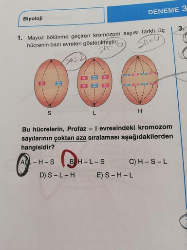 DENEME 3
Biyoloji
3.
1. Mayoz bölünme geçiren kromozom sayısı farklı üç
hücrenin bazı evreleri gösterilmiştir
Sn=0
2n7
30=2
I
S
L
Bu hücrelerin, Profaz - I evresindeki kromozom
sayılarının çoktan aza sıralaması aşağıdakilerden
hangisidir?
A)
-H-S
B H-L-S
C