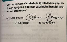 1.
Bitki ve hayvan hücrelerinde iğ ipliklerinin yapı bi-
rimleri aşağıdaki hücresel yapılardan hangisi tara-
findan sentezlenir?
ne
A) Hücre iskeleti
B) Ribozom
°) Golgi aygıtı
D) Kloroplast
E) Sertrozom
so