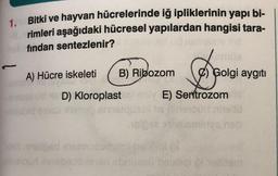 1.
Bitki ve hayvan hücrelerinde iğ ipliklerinin yapı bi-
rimleri aşağıdaki hücresel yapılardan hangisi tara-
findan sentezlenir?
ne
A) Hücre iskeleti
B) Ribozom
°) Golgi aygıtı
D) Kloroplast
E) Sertrozom
so
