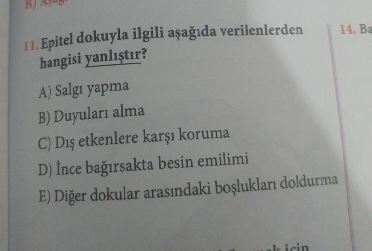 B)
14. Ba
11. Epitel dokuyla ilgili aşağıda verilenlerden
hangisi yanlıştır?
A) Salgı yapma
B) Duyuları alma
C) Dış etkenlere karşı koruma
D) İnce bağırsakta besin emilimi
E) Diğer dokular arasındaki boşlukları doldurma
1r icin