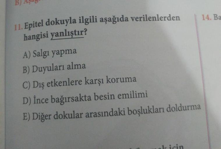 B)
14. Ba
11. Epitel dokuyla ilgili aşağıda verilenlerden
hangisi yanlıştır?
A) Salgı yapma
B) Duyuları alma
C) Dış etkenlere karşı koruma
D) İnce bağırsakta besin emilimi
E) Diğer dokular arasındaki boşlukları doldurma
1r icin
