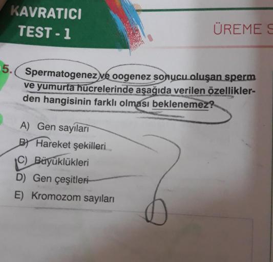 KAVRATICI
TEST - 1
ÜREMES
Spermatogenez ve oogenez sonucu oluşan sperm
ve yumurta hücrelerinde aşağıda verilen özellikler-
den hangisinin farklı olması beklenemez?
A) Gen sayıları
BY Hareket şekilleri
C) Büyüklükleri
D) Gen çeşitleri
E) Kromozom sayıları
