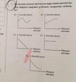 Bir hücrede ribozom aktivitesine bağlı olarak ozmotik ba-
inç değişimi aşağıdaki grafiklerin hangisinde verilmiş-
A) 4 Ozmotik basınç
B) Ozmotik basınç
Ribozom
aktivitesi
Ribozom
aktivitesi
C) Ozmotik basınç
D) Ozmotik basınç
Ribozom
aktivitesi
Ribozom
aktivitesi
E) Ozmotik basınç
Ribozom
aktivitesi