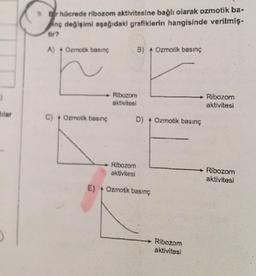 Bir hücrede ribozom aktivitesine bağlı olarak ozmotik ba-
inç değişimi aşağıdaki grafiklerin hangisinde verilmiş-
A) 4 Ozmotik basınç
B) Ozmotik basınç
Ribozom
aktivitesi
Ribozom
aktivitesi
C) Ozmotik basınç
D) Ozmotik basınç
Ribozom
aktivitesi
Ribozom
aktivitesi
E) Ozmotik basınç
Ribozom
aktivitesi
