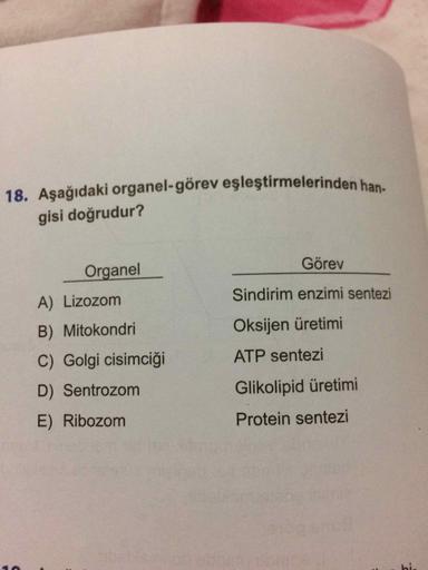 18. Aşağıdaki organel-görev eşleştirmelerinden han
gisi doğrudur?
Görev
Sindirim enzimi sentezi
Organel
A) Lizozom
B) Mitokondri
Oksijen üretimi
ATP sentezi
C) Golgi cisimciği
D) Sentrozom
Glikolipid üretimi
E) Ribozom
Protein sentezi
