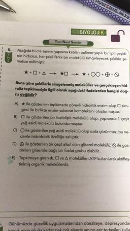 aper Mate InkJoy
BIYOLOJIK
Yeni Nesil Sorular
uzun
Aşağıda hücre zarının yapısına katılan polimer yapılı bir lipit çeşidi-
nin hidrolizi, her şekil farklı bir molekülü simgeleyecek şekilde şe-
matize edilmiştir.
* ++ A
→ * +00++
Buna göre şekillerle simgelenmiş moleküller ve gerçekleşen hid-
roliz tepkimesiyle ilgili olarak aşağıdaki ifadelerden hangisi doğ-
ru değildir?
A) * ile gösterilen tepkimede görevli hidrolitik enzim olup sim-
gesi ile birlikte enzim-substrat kompleksini oluşturmuştur.
B) ile gösterilen bir fosfolipit molekülü olup, yapısında 1 çeşit
yağ asidi molekülü bulundurmuştur.
C) O ile gösterilen yağ asidi molekülü olup suda çözünmez, bu ne-
denle hidrofobik özelliğe sahiptir.
D) ile gösterilen bir çeşit alkol olan gliserol molekülü; O ile gös-
terilen gliserole bağlı bir fosfat grubu olabilir.
E) Tepkimeye giren *, ve A molekülleri ATP kullanılarak aktifleş-
tirilmiş organik moleküllerdir.
Günümüzde güzellik uygulamalarından obeziteye, depresyonda
Ironik yorunluğa kadar nek mak alanda amino asit tedavileri kulla