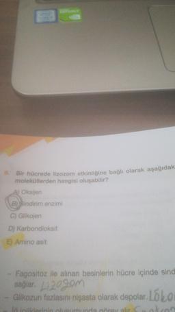8. Bir hücrede lizozom etkinliğine bağlı olarak aşağıdak
moleküllerden hangisi oluşabilir?
A) Oksijen
B) Sindirim enzimi
C) Glikojen
D) Karbondioksit
E) Amino asit
Fagositoz ile alınan besinlerin hücre içinde sind
sağlar. L120gom
Glikozun fazlasını nişasta olarak depolar. Lólo
otros
I intilerinin bumunda crv alur C