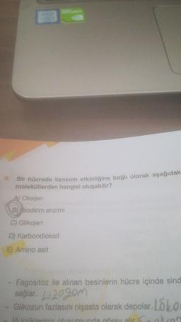 8. Bir hücrede lizozom etkinliğine bağlı olarak aşağıdak
moleküllerden hangisi oluşabilir?
A) Oksijen
B) Sindirim enzimi
C) Glikojen
D) Karbondioksit
E) Amino asit
Fagositoz ile alınan besinlerin hücre içinde sind
sağlar. L120gom
Glikozun fazlasını nişasta olarak depolar. Lólo
otros
I intilerinin bumunda crv alur C
