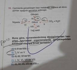 15. Canlılarda gerçekleşen bazı metabolik olaylara ait dönü-
şümler aşağıda şematize edilmiştir.
Glikojen
IV
Nişasta
Glikoz
CO2 + H2O
VI
VIII
by
VII
Yağ asidi
po
Buna göre, numaralandırılmış dönüşümlerden han-
gileri hayvansal organizmalarda gerçekleşebilen
katabolik olaylara örnek verilebilir?
A1, li ve VIII
B) IV ve V
C) N, HI, VI ve VII
D) I, IV, VI, VII ve VIII
E) III, IV, VI, VIL VI VIIL