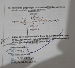 15. Canlılarda gerçekleşen bazı metabolik olaylara ait dönü-
şümler aşağıda şematize edilmiştir.
Glikojen
IV
Nişasta
Glikoz
CO2 + H2O
VI
VIII
by
VII
Yağ asidi
po
Buna göre, numaralandırılmış dönüşümlerden han-
gileri hayvansal organizmalarda gerçekleşebilen
katabolik olaylara örnek verilebilir?
A1, li ve VIII
B) IV ve V
C) N, HI, VI ve VII
D) I, IV, VI, VII ve VIII
E) III, IV, VI, VIL VI VIIL
