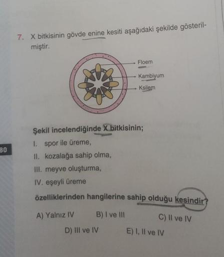 7. X bitkisinin gövde enine kesiti aşağıdaki şekilde gösteril-
miştir.
Floem
Kambiyum
Ksilem
BO
Şekil incelendiğinde X bitkisinin;
1. spor ile üreme,
IL kozalağa sahip olma,
III. meyve oluşturma,
IV. eşeyli üreme
özelliklerinden hangilerine sahip olduğu ke