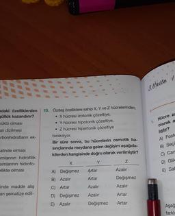 3. Unite
Idaki özelliklerden
güllük kazandırır?
yüklü olması
alı dizilmesi
10. Özdeş özelliklere sahip X, Y ve Z hücrelerinden,
• X hücresi izotonik çözeltiye,
• Y hücresi hipotonik çözeltiye,
. Z hücresi hipertonik çözeltiye
bırakılıyor.
Bir süre sonra, bu hücrelerin osmotik ba-
sınçlarında meydana gelen değişim aşağıda-
kilerden hangisinde doğru olarak verilmiştir?
1. Hücre za
olarak a
liştır?
A) Fosfc
urbonhidratların ek-
B) Seçi
alinde olması
C) Can
Z
imlarının hidrofilik
Simlarının hidrofo-
ellikte olması
x
D Glik
Artar
Azalır
E) Sat
A) Değişmez
B) Azalır
Artar
Değişmez
C) Artar
Azalır
Azalır
inde madde alış
arı şematize edil-
D) Değişmez
Azalır
Artar
E) Azalır
Değişmez
Artar
Aşağ
farklı
