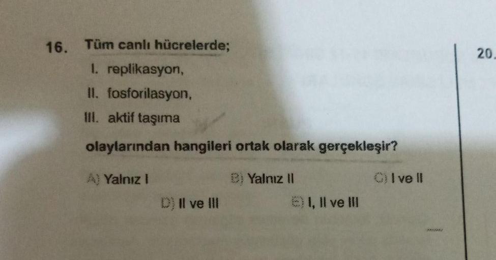 20.
16. Tüm canlı hücrelerde;
I replikasyon,
II. fosforilasyon,
ill. aktif taşıma
olaylarından hangileri ortak olarak gerçekleşir?
A) Yalnız!
8. Yalnız il
CI ve II
D) Il ve III
I, II ve III