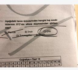 15. Aşağıdaki tarım ürünlerinden hangisi kış sicak-
lıklarının 0°C'nin altına düşmesinden etkilen-
mez?
B) İncir
A Pamuk
C) Çay
D Turunegitter aytin
Coğrafya Test 14
1 2 3 4 5 6 | 7 | 8 | 9 | 10 | 11 12 13 14 15
DIA D
B ACE CADDCDCA