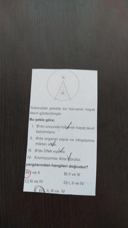 urrent
Yukardaki şekilde bir hücrenin hayat
devri gösterilmiştir
Bu şekle göre;
1. B'nin sonunda husvenin hayat devri
tamamlanır.
II. A'da organel sayısı ve sitoplazma
miktan antar
III. B'de DNA eşlenir
IV. Kromozomlar A'da Görülür.
yargılarından hangileri doğrudur?
A)) ve 11
B) II ve III
Körutur
C) III ve IV
D) I, II ve IV
E) II, III ve IV