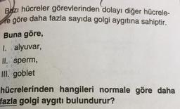 Bazı hücreler görevlerinden dolayı diğer hücrele-
me göre daha fazla sayıda golgi aygıtına sahiptir.
Buna göre,
I. alyuvar,
II. sperm,
III. goblet
hücrelerinden hangileri normale göre daha
fazla golgi aygıtı bulundurur?
