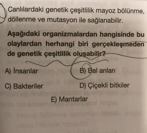 Canlılardaki genetik çeşitlilik mayoz bölünme,
döllenme ve mutasyon ile sağlanabilir.
Aşağıdaki organizmalardan hangisinde bu
olaylardan herhangi biri gerçekleşmeden
de genetik çeşitlilik oluşabilir?
A) İnsanlar
B) Bal arıları
C) Bakteriler
D) Çiçekli bitk