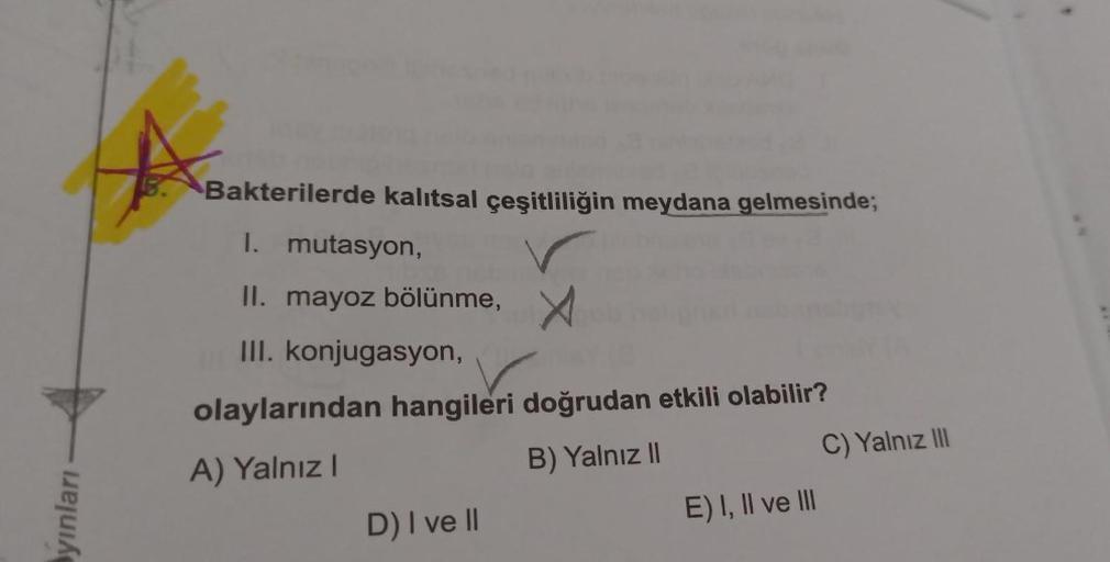 Bakterilerde kalıtsal çeşitliliğin meydana gelmesinde;
I. mutasyon,
II. mayoz bölünme,
III. konjugasyon,
olaylarından hangileri doğrudan etkili olabilir?
A) Yalnız!
B) Yalnız II
C) Yalnız II
ayınları
E) I, II ve III
D) I ve II