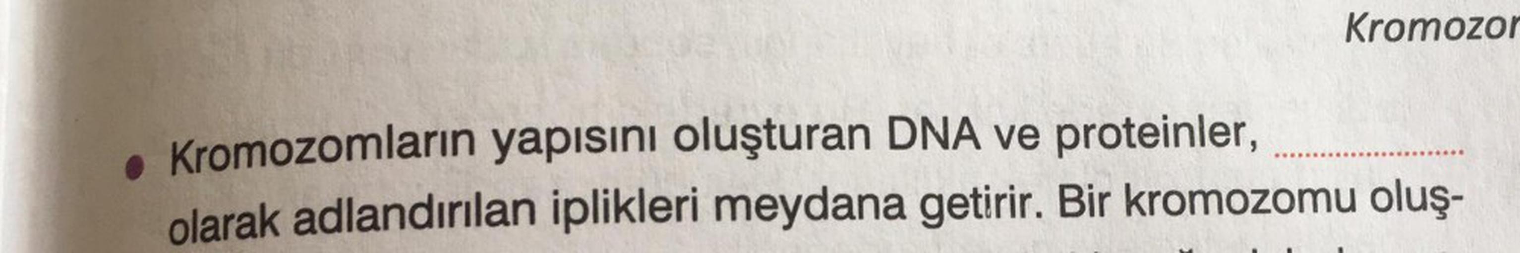 Kromozor
• Kromozomların yapısını oluşturan DNA ve proteinler,
olarak adlandırılan iplikleri meydana getirir. Bir kromozomu oluş-
