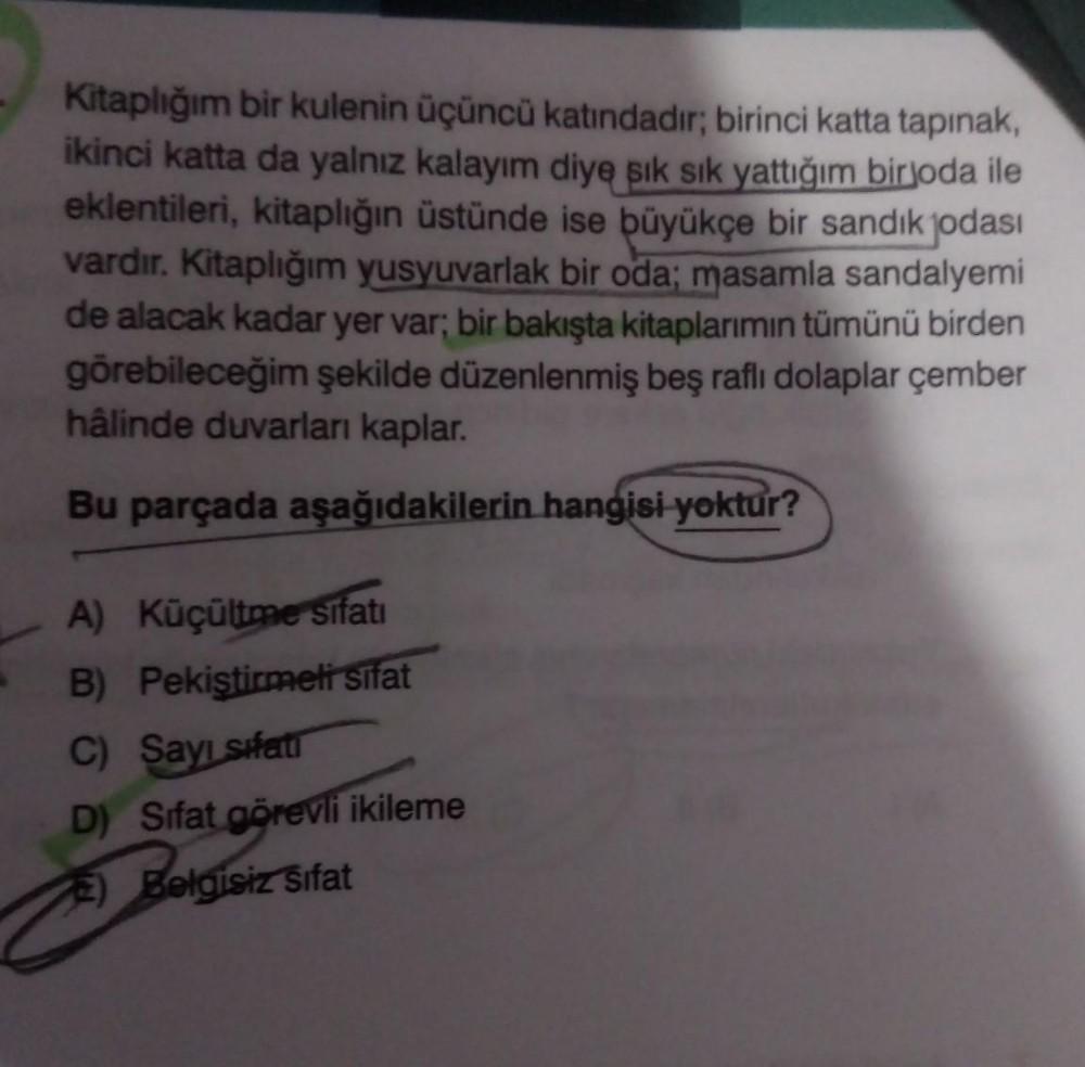 Aka singlisining mushukini sut bilan toldirdi (videoni onlayn tomosha qiling)