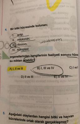 5. Aşağıdaki olaylardan hangisi bitki ve hayvan
hücrelerinde ortak olarak gerçekleşmez?
Judobnih
sobre
hbno lotin
issloth
blog
4.
Bir bitki hücresinde bulunan;
1. golgi,
II. mitokondri,
sosyod bebe
dehidrasuonompte
III. ribozom,
IV. kloroplast
organellerinden hangilerinin faaliyeti sonucu hücren
su miktarı artabilir
A) I, II ve III
B) I, III ve IV
C) I vell
D) II ve III
oldet holde
El ve Tv
op syev
llas onima
