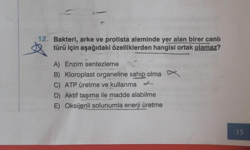 12. Bakteri, arke ve protista aleminde yer alan birer canlı
türü için aşağıdaki özelliklerden hangisi ortak olamaz?
A) Enzim sentezleme
B) Kloroplast organeline sahip olma
C) ATP üretme ve kullanma
D) Aktif taşıma ile madde alabilme
E) Oksijenli solunumla 