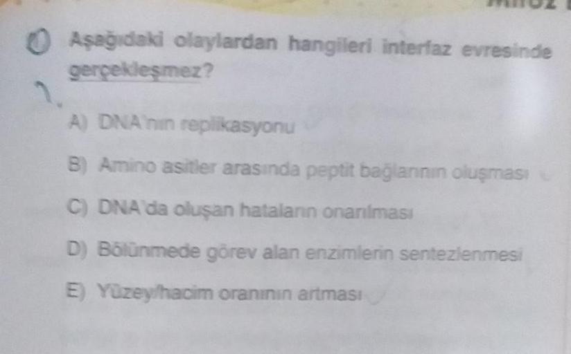 Aşağıdaki olaylardan hangileri interfaz evresinde
gerçekleşmez?
A) DNA replikasyonu
B) Amino asitler arasında peptit bağlannin oluşması
C) DNA da oluşan hatalann onarılması
D) Bölünmede görev alan enzimlerin sentezlenmesi
E) Yüzeylhacim oranının artması