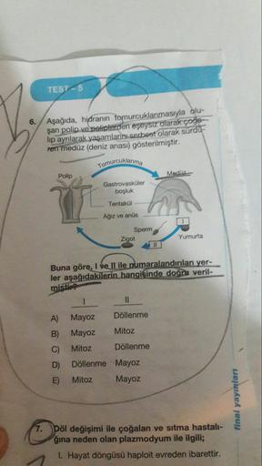 TEST - 5
6.
Aşağıda, hidranın tomurcuklanmasıyla olus-
şan polip ve poliplerden eşeysiz olarak çoğa-
lip ayrılarak yaşamlarını serbest olarak sürdü -
ren medüz (deniz anasi) gösterilmiştir.
Tomurcuklanma
Polip
Mediz
Gastrovasküler
boşluk
Tentakül
Ağız ve a