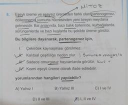 MiToZ
8.
Eşeyli üreme ve eseysiz üremeden farklı olan partenogenez,
döllenmemiş yumurta hücresinden yeni bireyin meydana
gelmesidir. Bal arılarında, bazı balık türlerinde, kurbağalarda,
sürüngenlerde ve bazı kuşlarda bu şekilde üreme görülür.
Bu bilgilere dayanarak, partenogenez için,
I. Çekirdek kaynaşması görülmez.
H. Kalıtsal çeşitliliğe neden olur. ) Yumurta mayazla
HH. Sadece omurgasız hayvanlarda görülür. Kurv
V. Kismi eşeyli üreme olarak ifade edilebilir.
yorumlarından hangileri yapılabilir?
A) Yalnız!
B) Yalnız III
C) I ve IV
D) II ve III
E) I, II ve IV